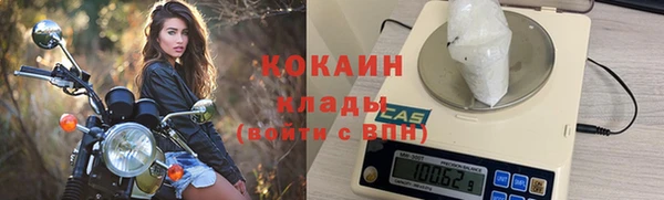 шишки Богородск