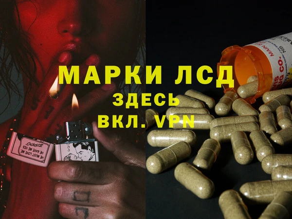 прущий лед Богданович