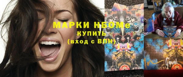 шишки Богородск