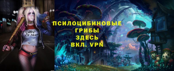 прущий лед Белокуриха