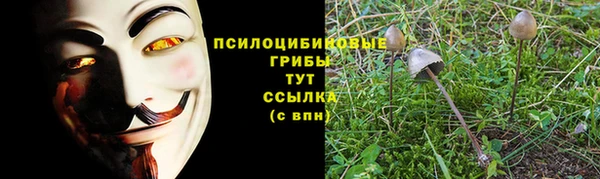 прущий лед Белокуриха