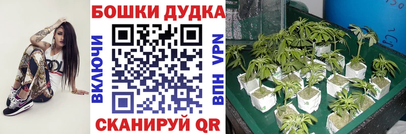 купить  сайты  Конаково  Марихуана SATIVA & INDICA 